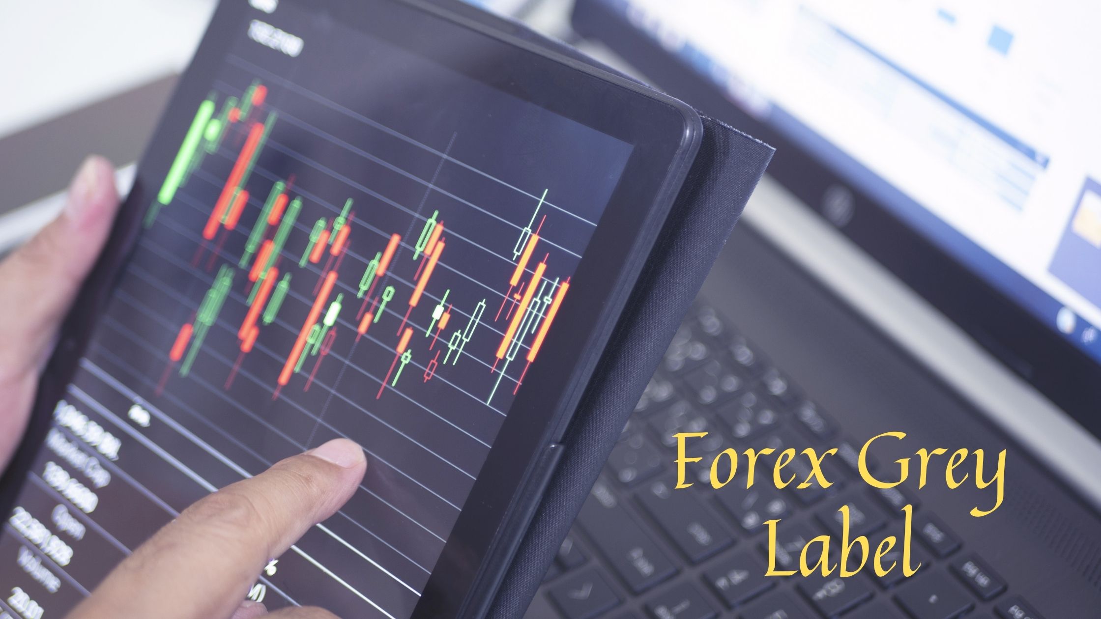 Forex Grey Labe Solution