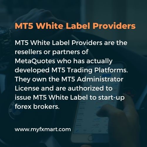 MT5 White Label Providers